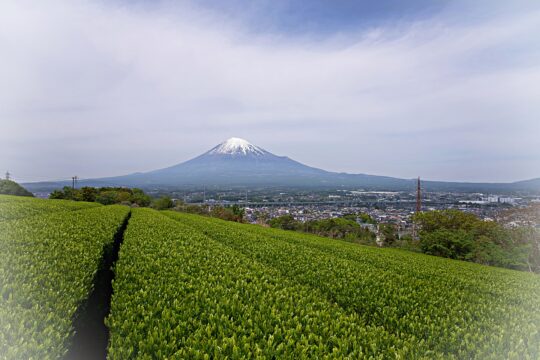 南海トラフ、富士山噴火…複合災害に備える重要性